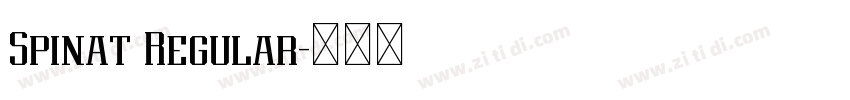 Spinat Regular字体转换